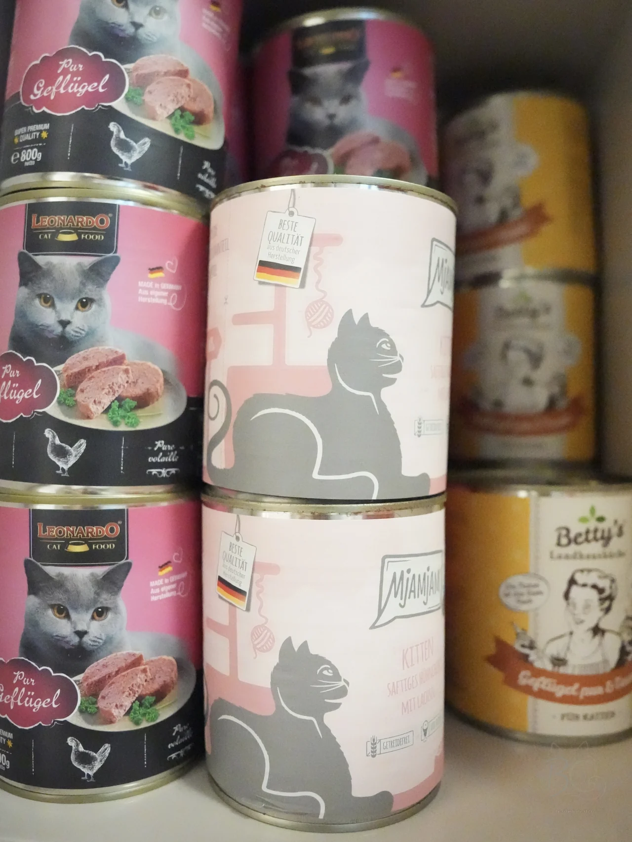猫舍拍摄当时的不同口味罐装食物