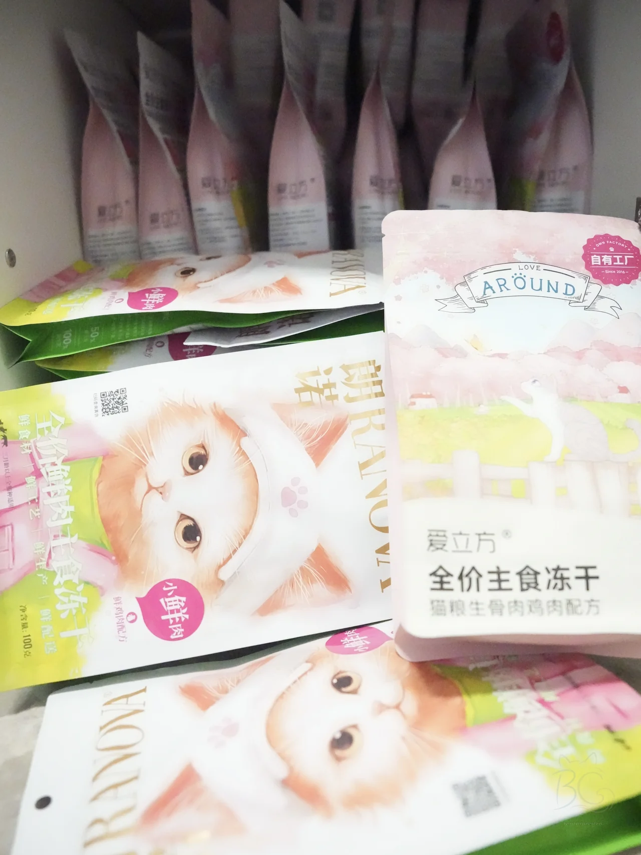 猫舍拍摄当时的冻干与袋装食物储备