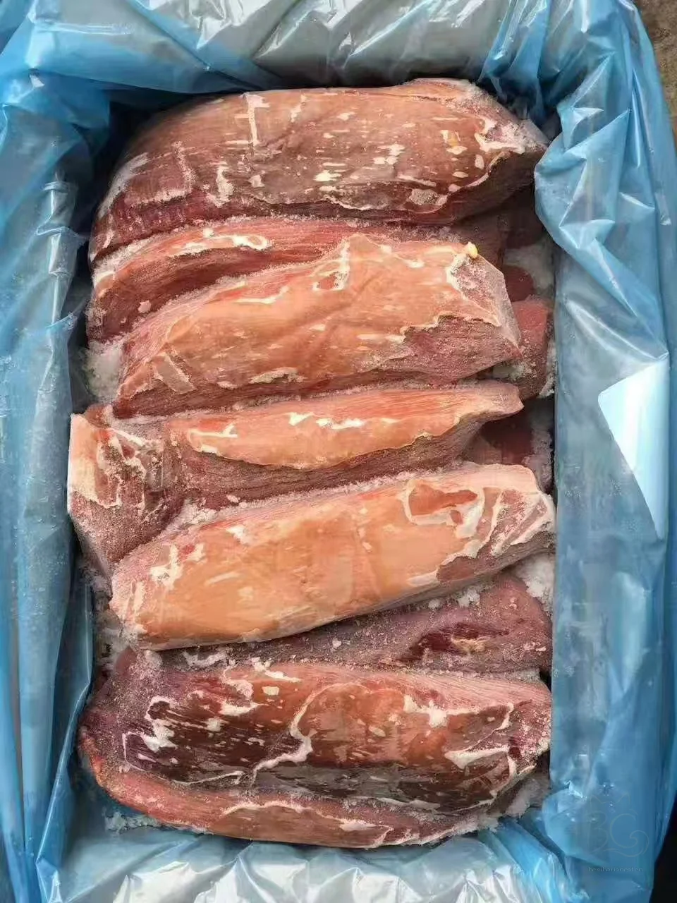 猫舍拍摄当时冷冻保存的食材
