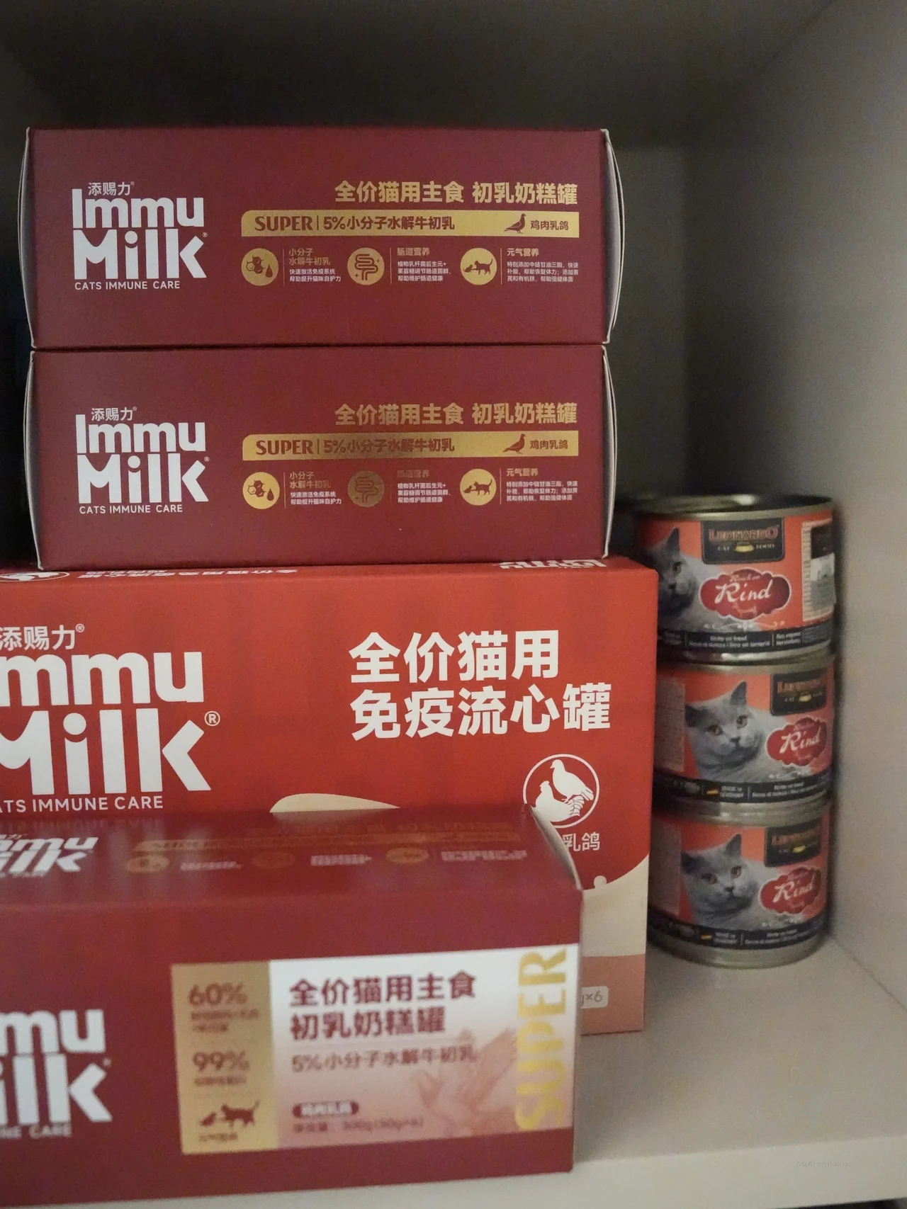猫舍拍摄当时的奶糕与罐装食物储备