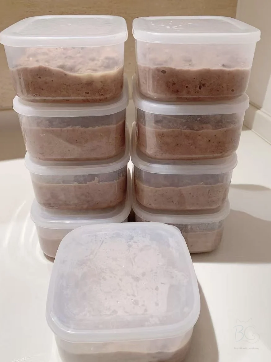 猫舍拍摄当时分装在餐盒中的食物