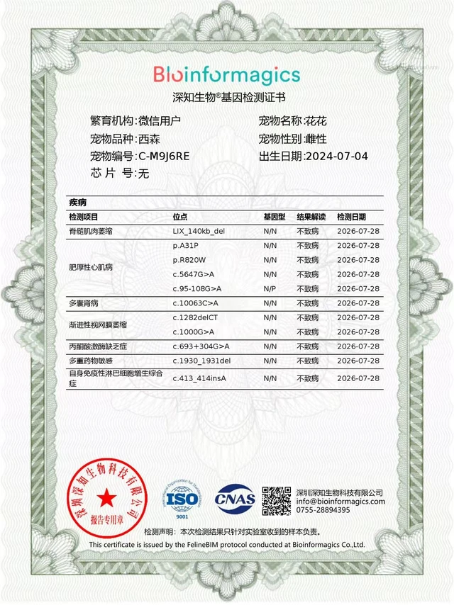 花花 2026 年深知生物基因检测报告疾病项目第一页